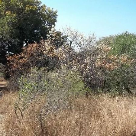 Aloes Bush Stay Hoedspruit Exterior foto