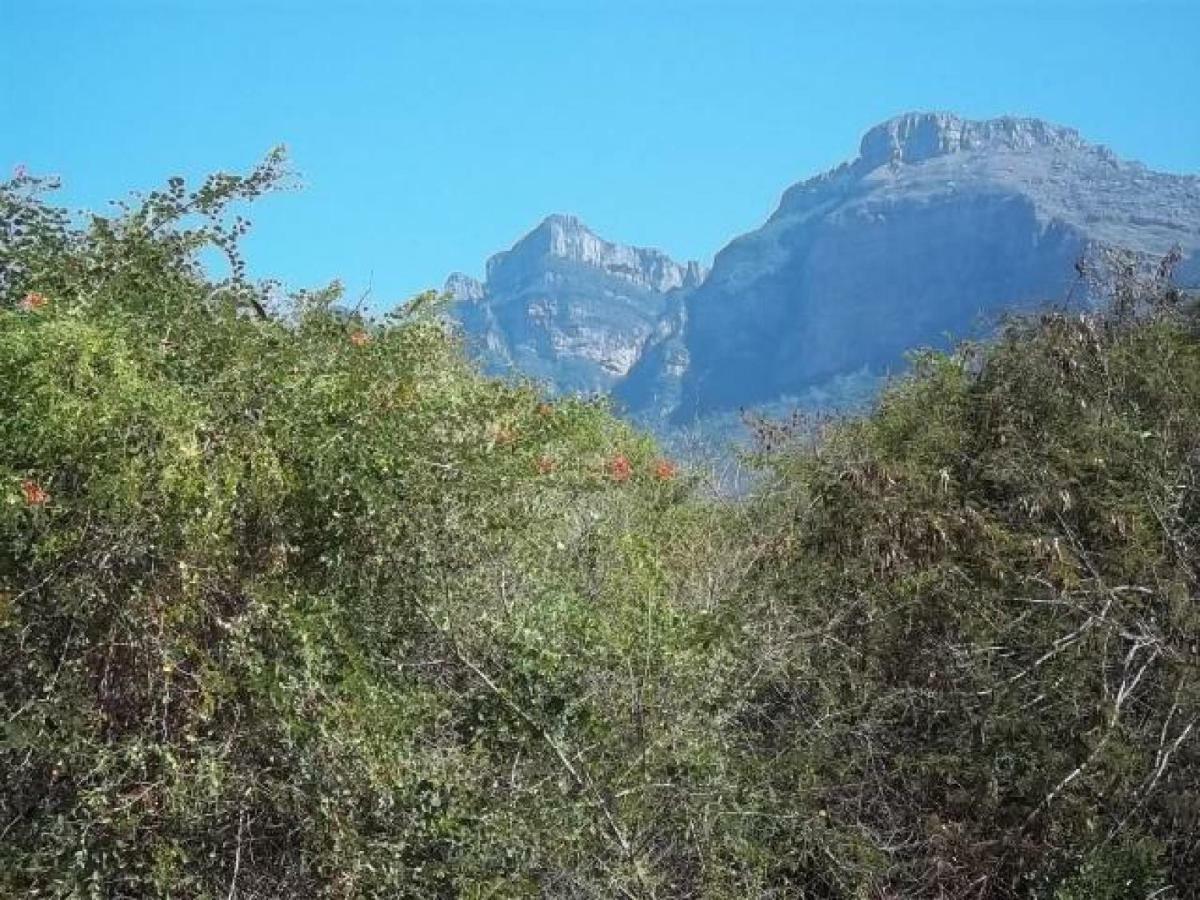 Aloes Bush Stay Hoedspruit Exterior foto
