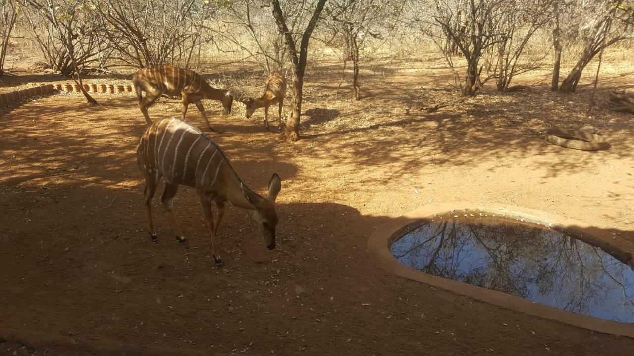 Aloes Bush Stay Hoedspruit Exterior foto