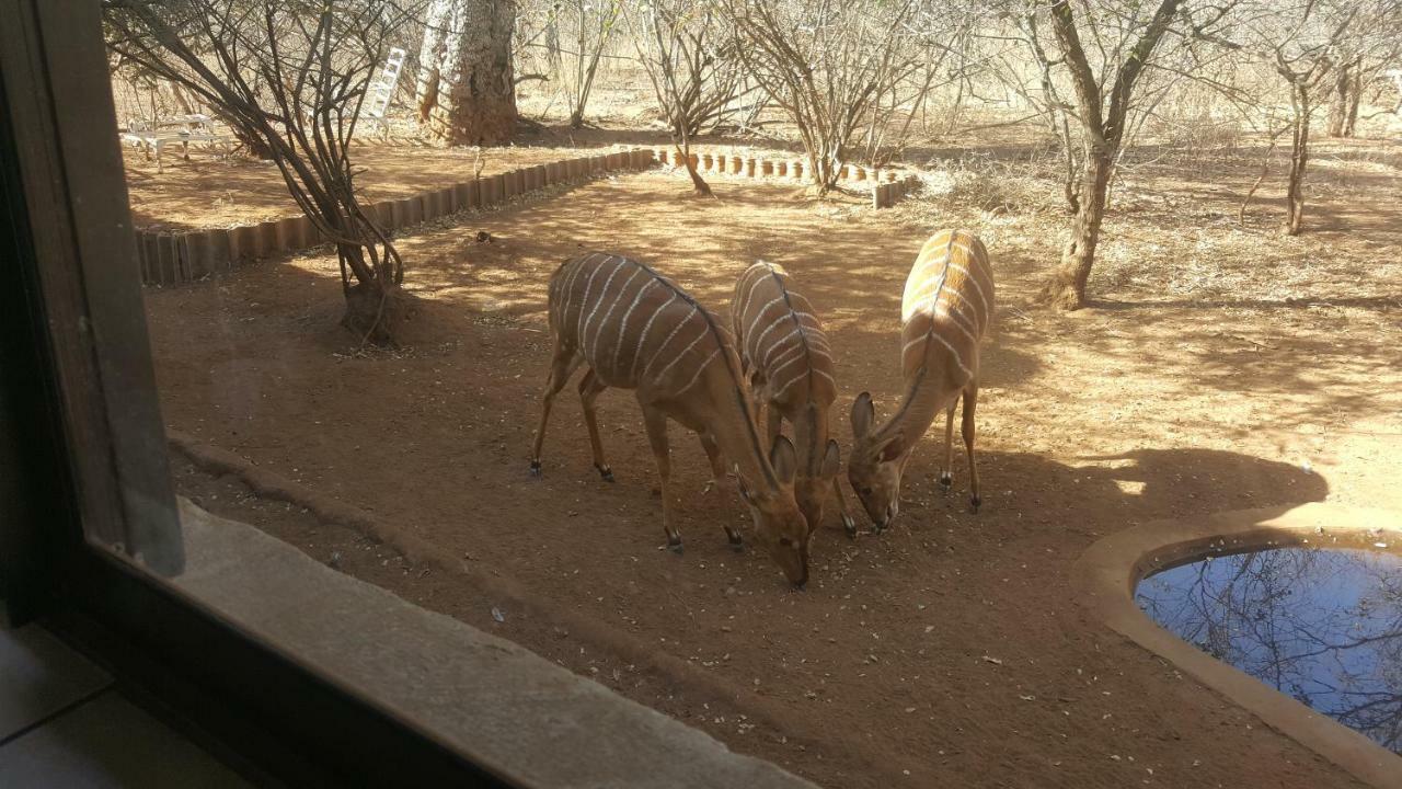 Aloes Bush Stay Hoedspruit Exterior foto